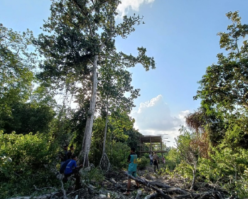 Masyarakat Kampung Bunsur, Kecamatan Sei Apit, duduk di dekat pohon Dungun yang diperkirakan sudah berusia di atas 90 tahun.