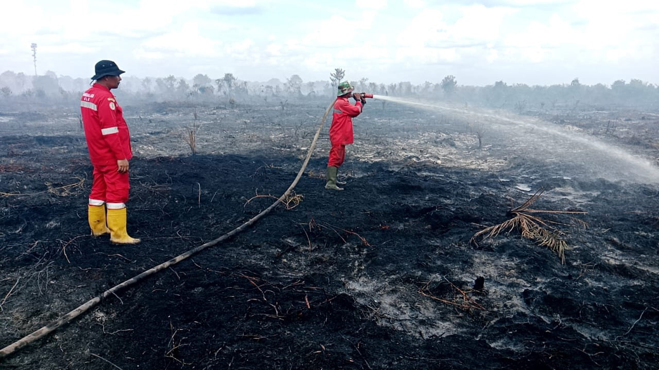 Regu Pemadam Kebakaran PT RUJ melakukan pendinginan di lokasi karhutla Tanjung Penyembal, Dumai yang berhasil dipadamkan, Senin (16/6/2025).