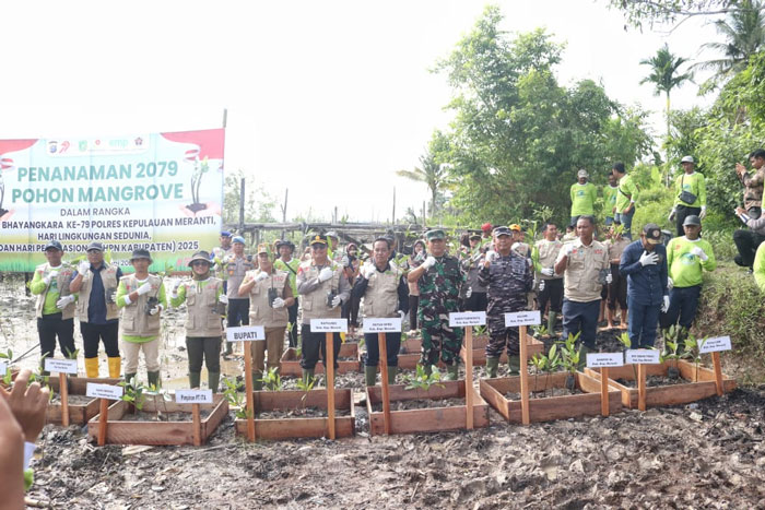 Aksi Penanaman Mangrove di Desa Mekong Kepulauan Meranti, Rabu (18/6/2025) siang.