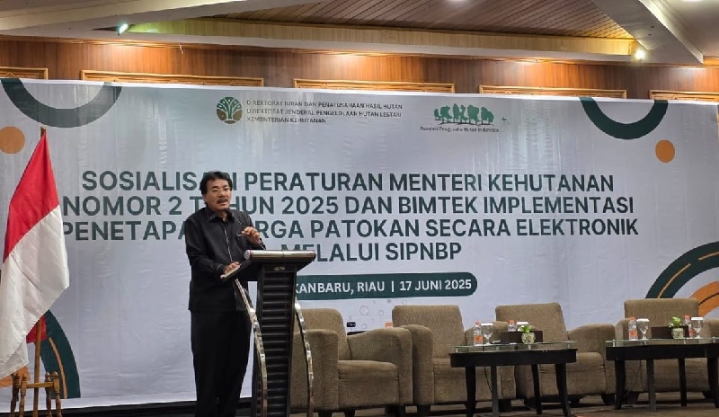 Ketua APHI Riau, Muller Tampubolon memberikan sambutan dalam sosialisasi Permenhut No.2 tahun 2025 dan implementasi Sistem Informasi Penerimaan Negara Bukan Pajak (SIPNBP) di Ballroom Hotel Pangeran.