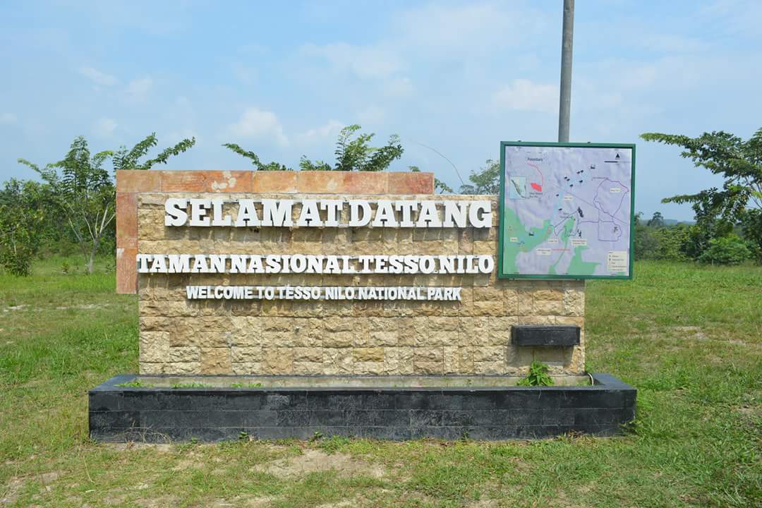 Taman Nasional Tesso Nilo (TNTN) di Kabupaten Pelalawan