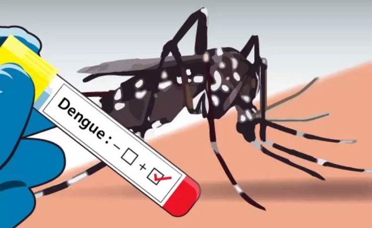 Ilustrasi Demam Berdarah Dengue (DBD )