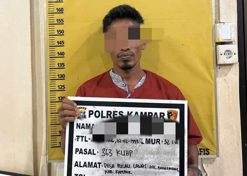 Satreskrim Polres Kampar menangkap pelaku pencurian RU (33) di Desa Pulau Lawas, Kecamatan Bangkinang Kabupaten Kampar, Senin (23/6/2025).