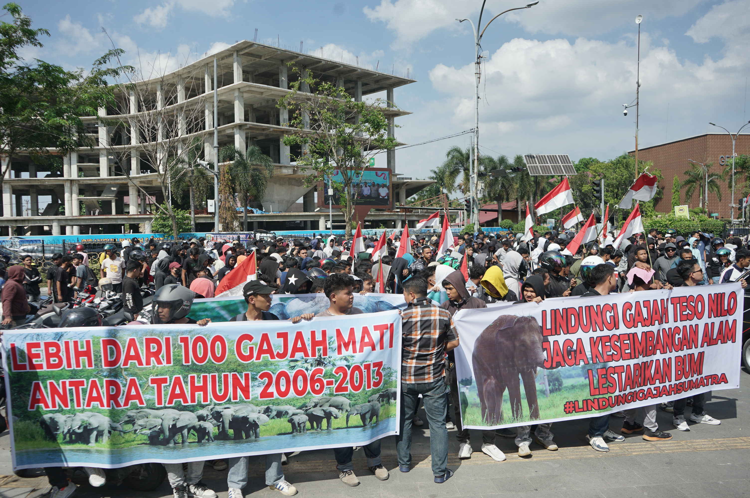 Unjuk Rasa : Massa dari Aliansi Masyarakat Penyelamat Habitat Gajah Sumatera Prov Riau melakukan aksi unjuk rasa di depan Kantor Gubernur Riau, Selasa (24/6/2025).