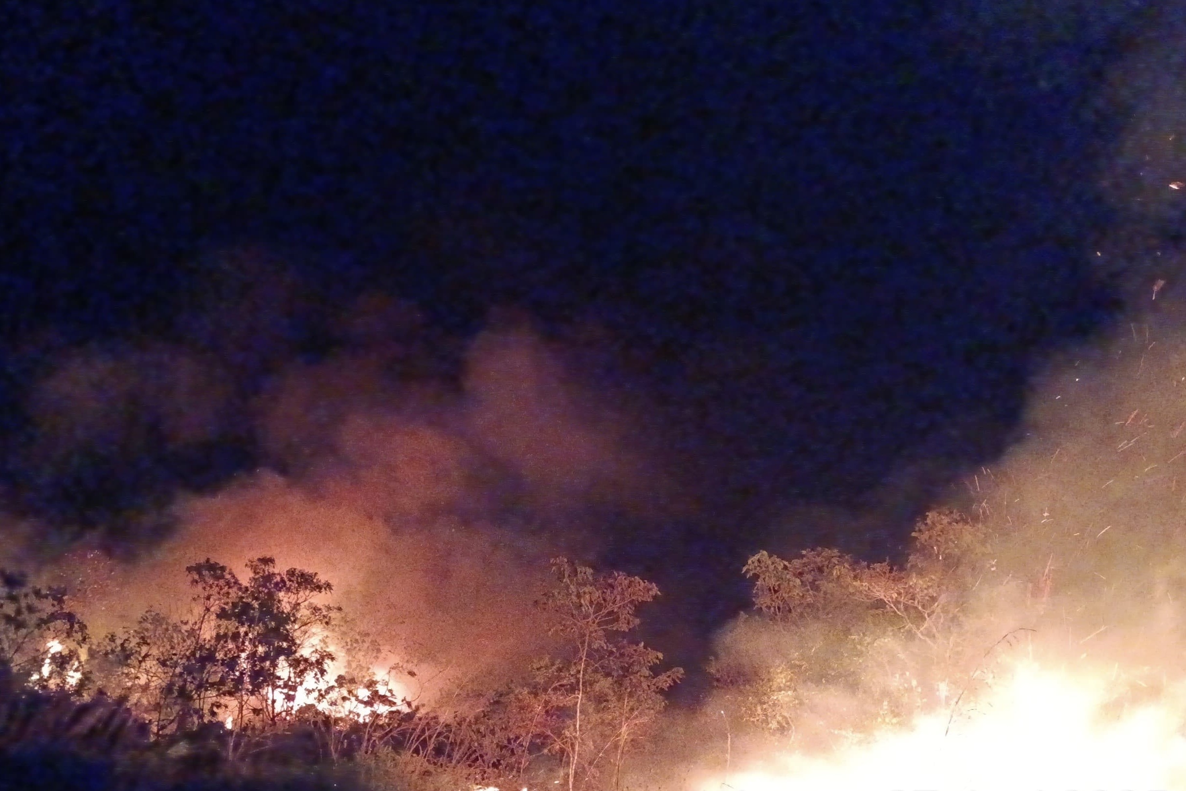Api membesar membakar lahan di Desa Salo, Kecamatan Salo, Kabupaten Kampar, Jumat (27/6/2025).