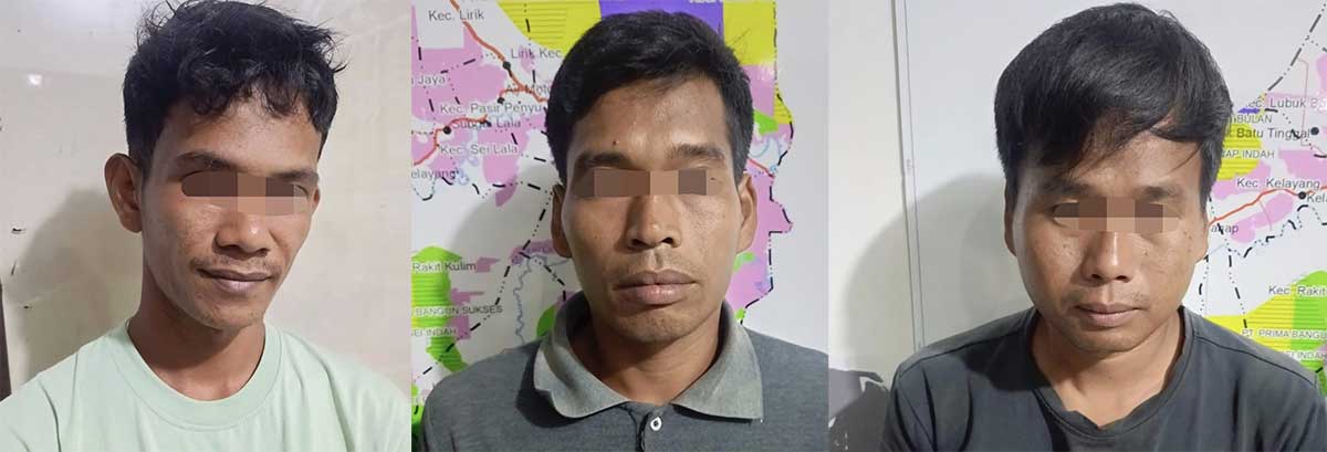 Tiga terduga pelaku pembalakan liar saat diamankan Tim Satreskrim Polres Inhu, Kamis (26/6/2025).
