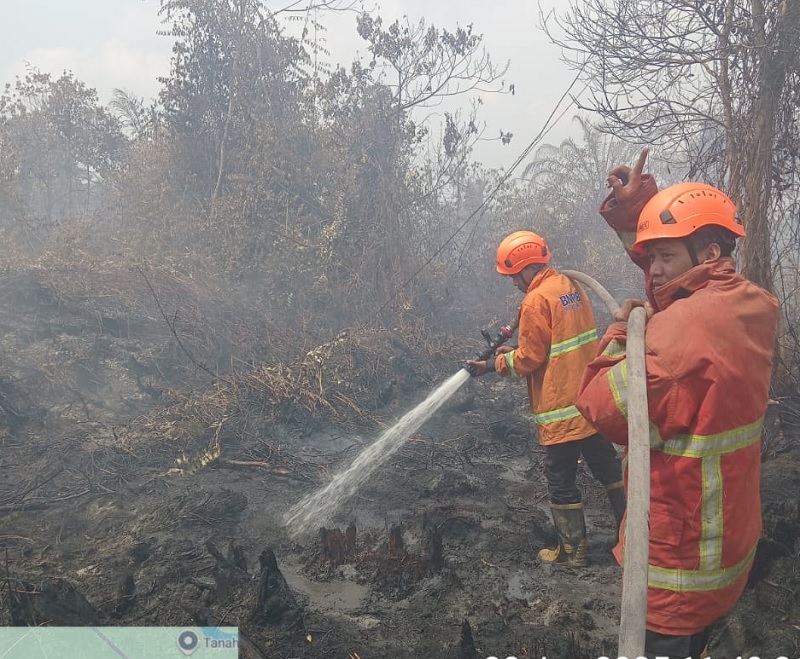 Tim Gabungan memadamkan api yang membakar  lahan di Desa Karya Indah Kecamatan Tapung, Senin (30/6/2025).