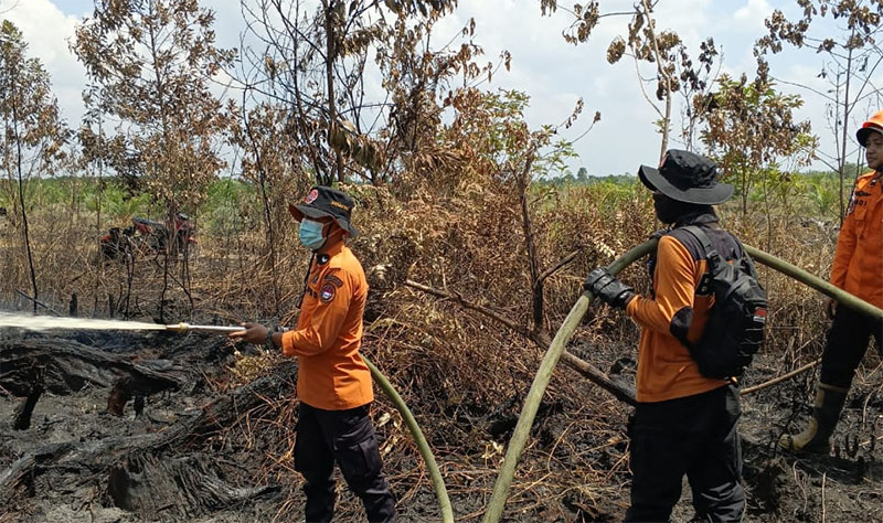 Tim gabungan berjibaku memadamkan api yang membakar lahar semak belukar dan perkebunan kepala sawit di Desa Karya Indah, Kecamatan Tapung, Kabupaten Kampar, Selasa (1/7/2025).