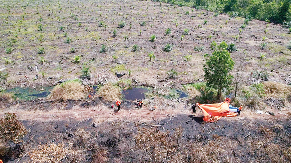 Tim gabungan masih berjibaku memadamkan api yang membakar lahan semak belukar dan perkebunan kelapa sawit di Desa Karya Indah, Kecamatan Tapung, Kabupaten Kampar, Selasa (1/7/2025).
