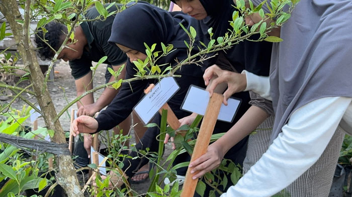 Mahasiswa-mahasiswi Fakultas Kedokteran Universitas Riau melakukan penanaman tanaman obat keluarga di Posyandu Kapodang, Kecamatan Dumai Timur, sebagai aksi program nyata KKN, Rabu (11/6/2025).