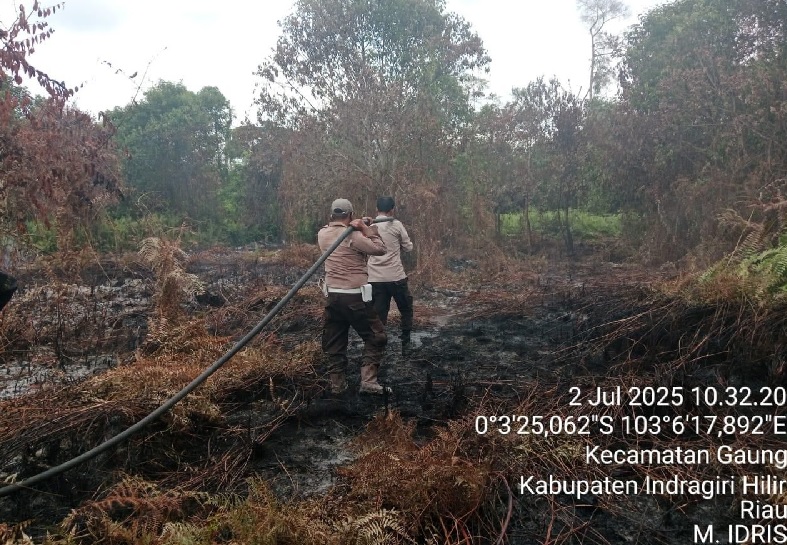 Sebanyak 5,2 hektare lahan terbakar di Gaung Inhil akibat petani berinisial SL membuka lahan dengan cara dibakar. Petani berinisial SL, ditangkap, Kamis (3/7/2025).