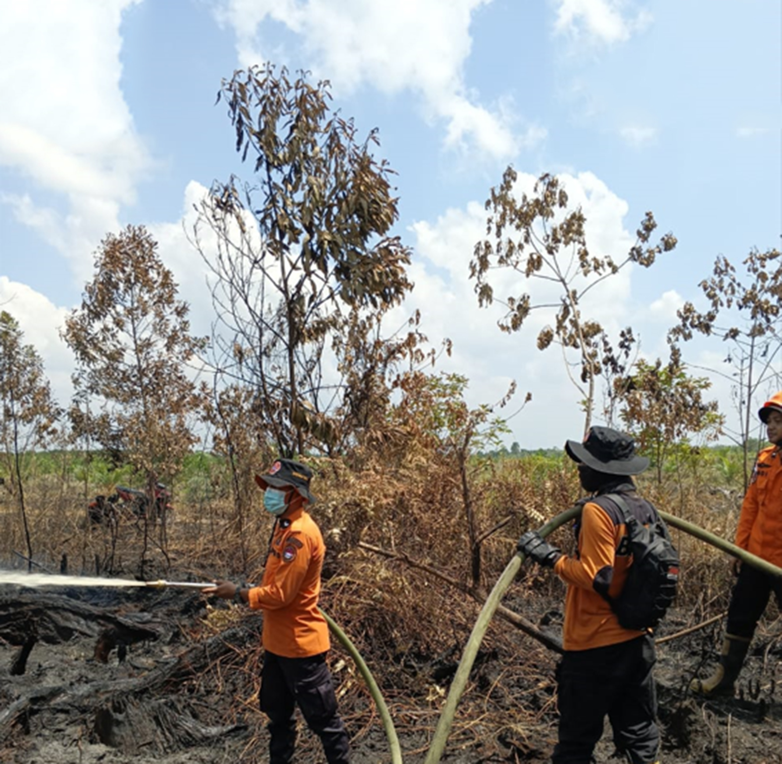 Petugas BPPD Kampar memadamkan lahan terbakar di Desa Karya Indah, Kecamatan Tapung, Kabupaten Kampar, beberapa waktu lalu.