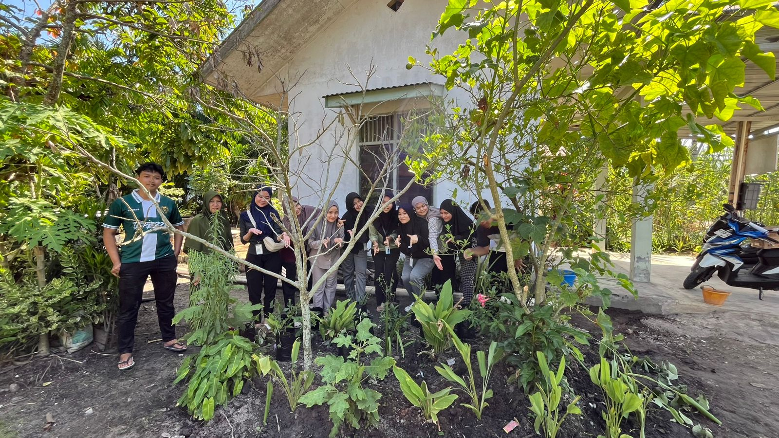 Tanaman Obat Keluarga (Toga) yang ditanam di Posyandu Kapodang, Kelurahan Bukit Batrem, Kecamatan Dumai Timur, beberapa waktu lalu.