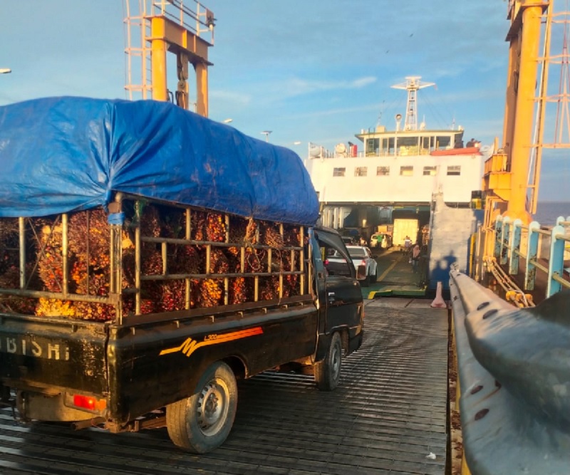 Mobil pikap yang penuh muatan TBS kelapa sawit saat memasuki kapal ro-ro menuju ke Dermaga Ro-Ro Sei Selari-Pakning.