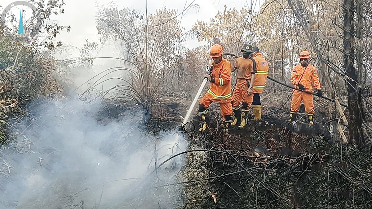 PENDINGINAN: Tim gabungan melakukan pendinginan pada lahan yang terbakar di Desa Karya Indah, Kecamatan Tapung, Kabupaten Kampar, Selasa (8/7/2025).&nbsp;