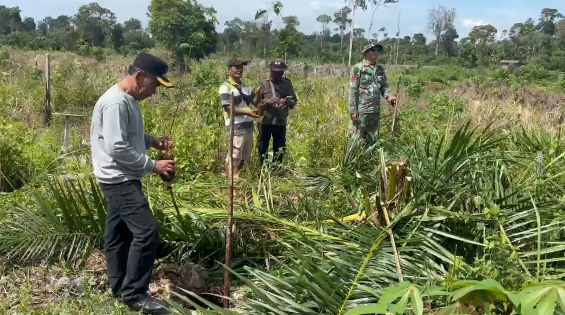 Masyarakat Desa Lubuk Kembang Bunga bersama Satgas PKH melakukan penanaman pohon kembali usai proses menumbangkan pohon sawit muda di Kawasan TNTN Kabupaten Pelalawan, Selasa (8/7/2025).