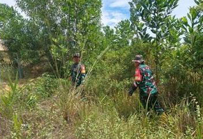 Petugas Bhabinsa Koramil Mandau melakukan pengecekan secara berkala di lokasi rawan kebakaran tepatnya di Jalan Rangau, Desa Petani, Kecamatan Mandau, Kamis (10/7/2025).