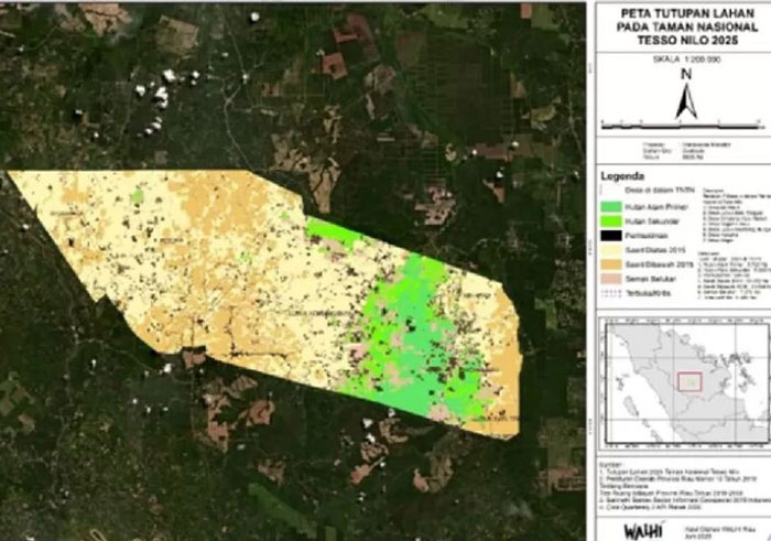 Peta kawasan TNTN. Warna hijau menunjukkan 12.561 hektare hutan alam yang tersisa atau 15,36 persen dari total luasnya yang mencapai 81.793 hektare.