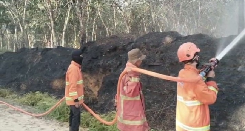 Satgas Gabungan memadamkan api yang membakar lahan di Desa Pulau Jambu, Kecamatan Kuok, Kabupaten Kampar, Jumat (11/7/2025).
