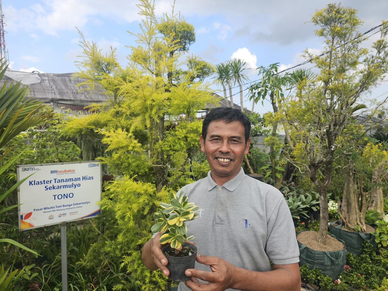 Tono menjadi salah satu pedagang aktif di Pasar Wisata Tani Sekar Mulyo, sebuah pusat usaha tanaman hias yang menjadi bagian dari program klaster binaan BRI.