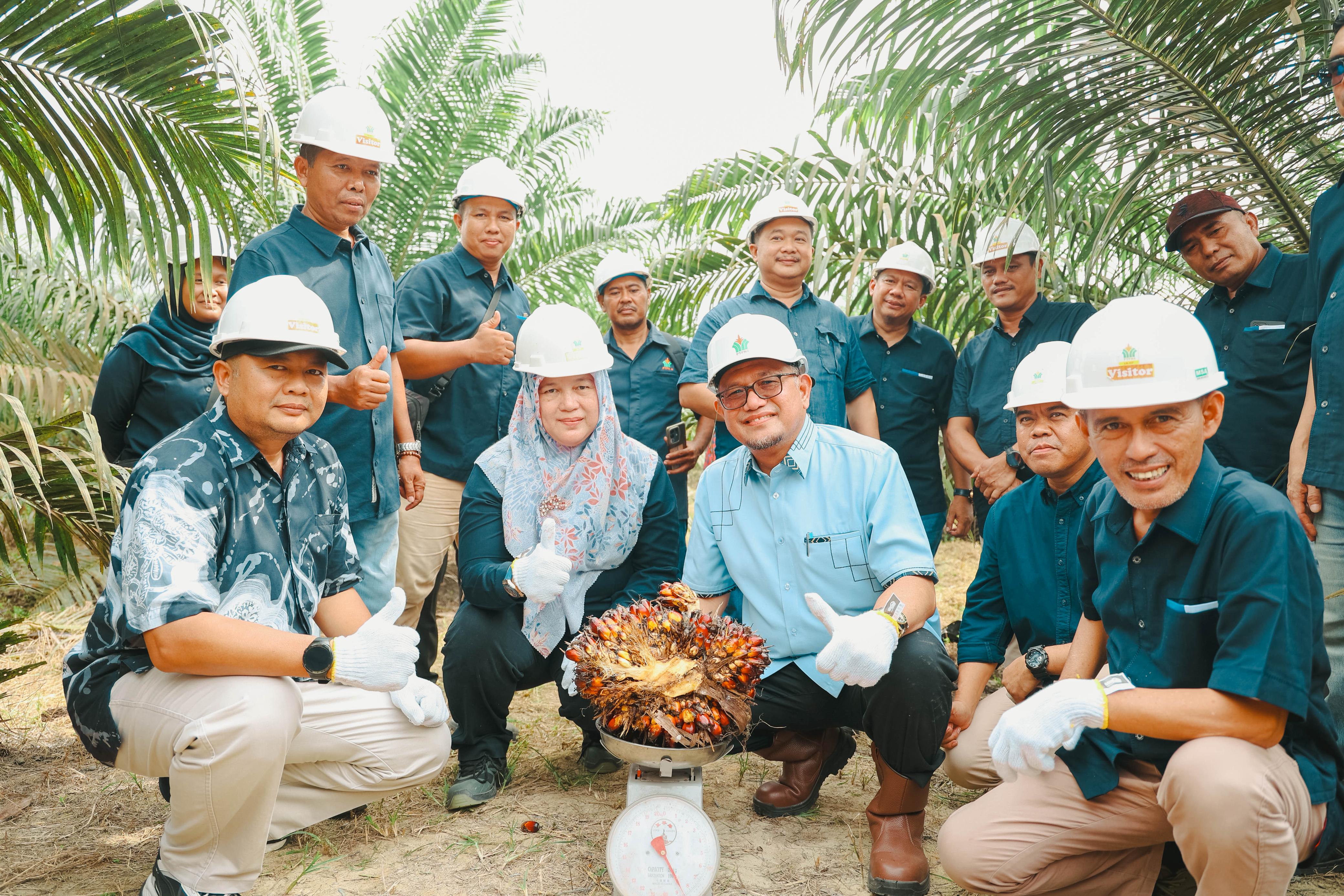 Region Head PTPN IV Regional III Ahmad Gusmar Harahap (tengah duduk) saat melaksanakan panen perdana di Kebun Sungai Pagar, belum lama ini.