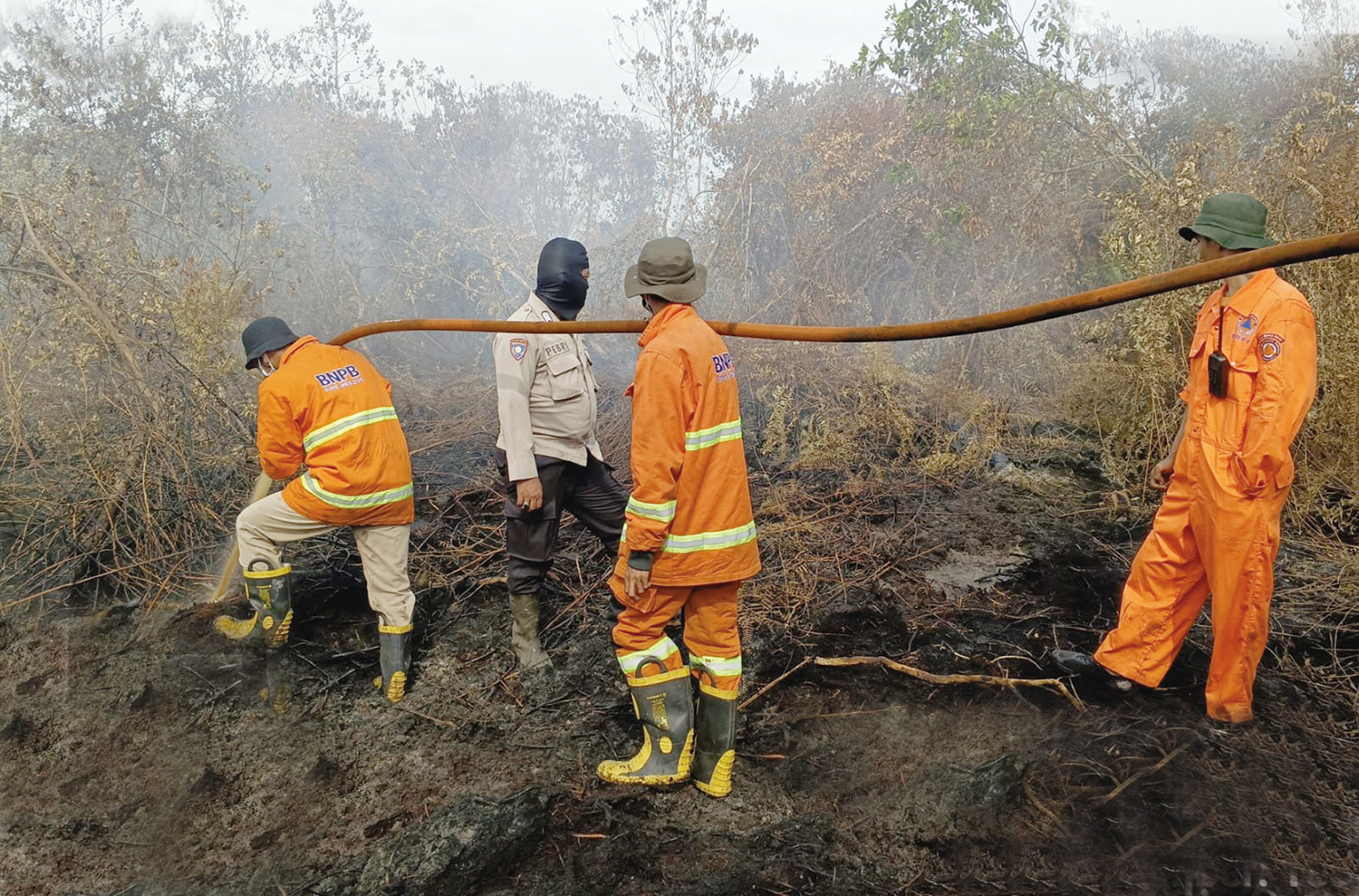 Personel satgas gabungan berjibaku memadamkan api yang membakar lahan milik warga di Desa Rimbo Panjang, Kecamatan Tambang, Kabupaten Kampar, Selasa (15/7/2025).