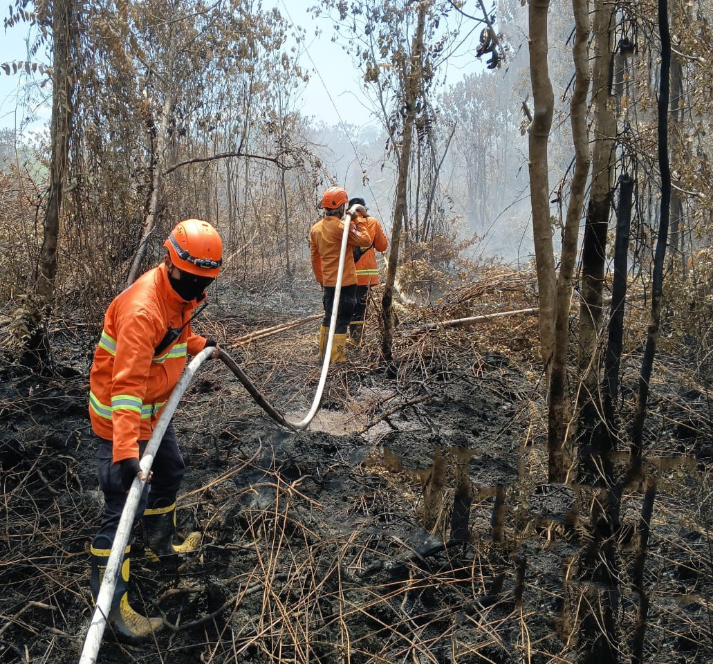 Satgas Gabungan kesulitan melakukan pendinginan di lokasi kebakaran lahan di Desa Rimbo Panjang, Kecamatan Tambang, Kabupaten Kampar, Rabu (16/7/2025).