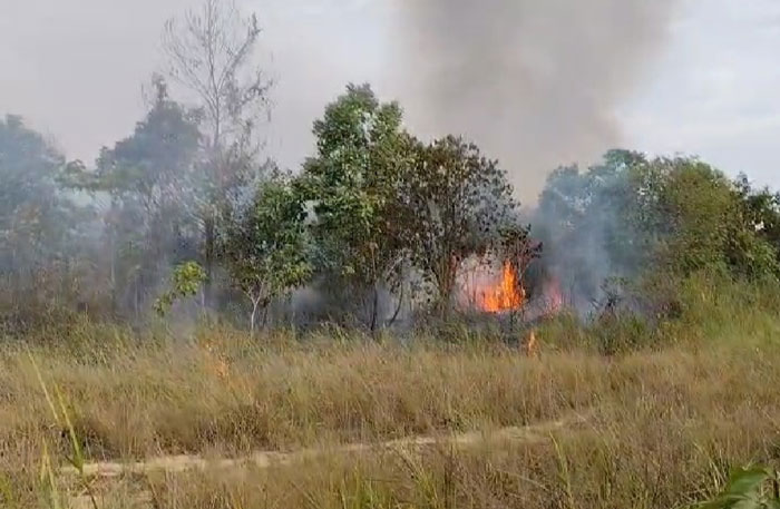 Kebakaran lahan di Jalan Pertanian, di wilayah Kelurahan Delima, Kecamatan Bina Widya, Kamis (17/7/2025).