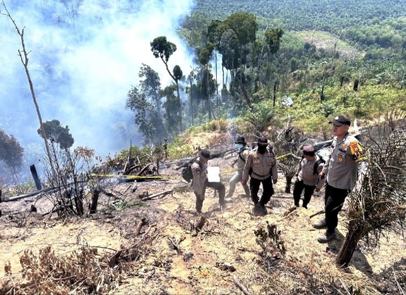 Salah satu titik lokasi bekas kebakaran hutan di lahan telah dipasang police line oleh personel Polsek Jajaran Polres Rohul, Jumat (18/7/2025).