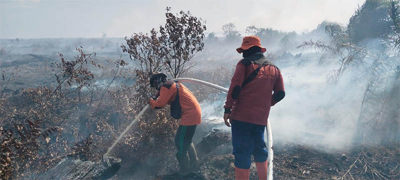 Petugas BPBD saat berupaya melakukan pemadaman api yang membakar lahan di Kabupaten Rokan Hilir (Rohil), baru-baru ini.