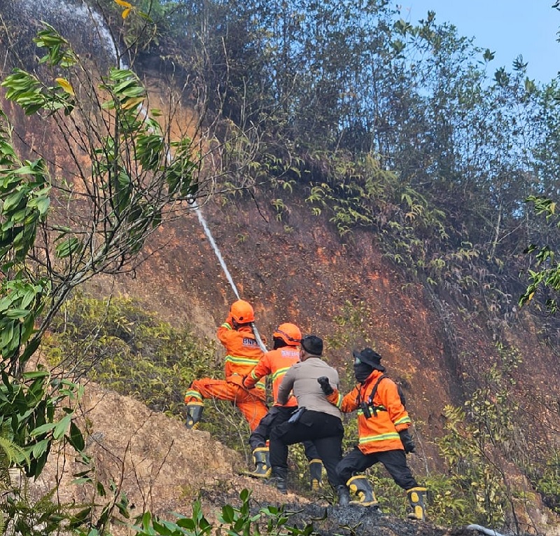 Satgas Gabungan memadamkan kebakaran lahan di Desa Salo Timur, Kecamatan Salo, Kabupaten, Senin (21/7/2025).
