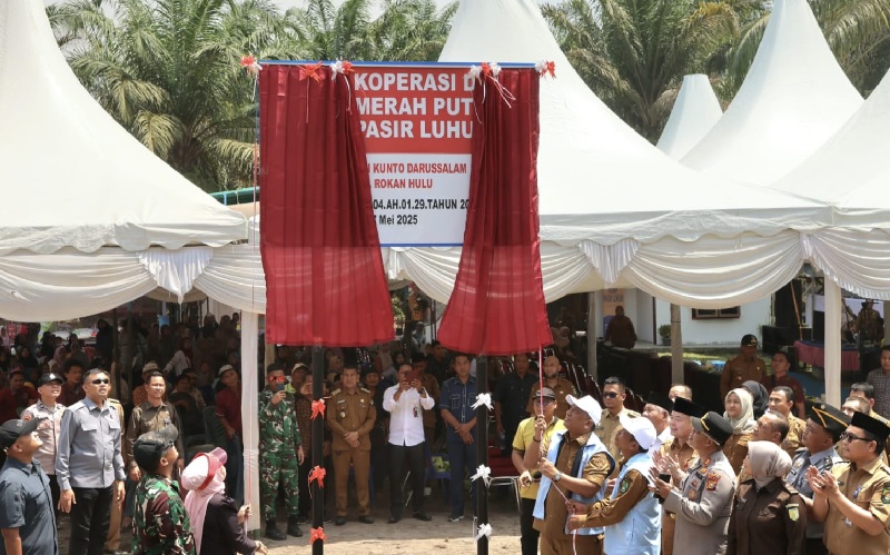Bupati Rohul Anton ST MM membuka kain tirai papan nama Kantor Koperasi Desa Merah Putih Pasir Luhur, Kecamatan Kunto Darussalam, Senin (21/7/2025).