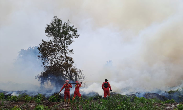 Personel Manggala Agni saat berupaya memadamkan Karhutla di Kota Dumai, Ahad (20/7/2025).