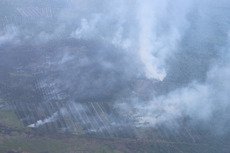 Kondisi kebakaran hutan dan lahan yang terjadi di wilayah Kabupaten Rokan Hilir, Provinsi Riau pada Senin (21/7/2025).