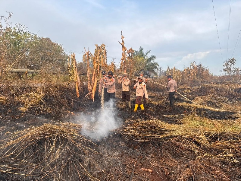 Kegiatan pendinginan karhutla di lahan terbakar di Kecamatan Kubu.