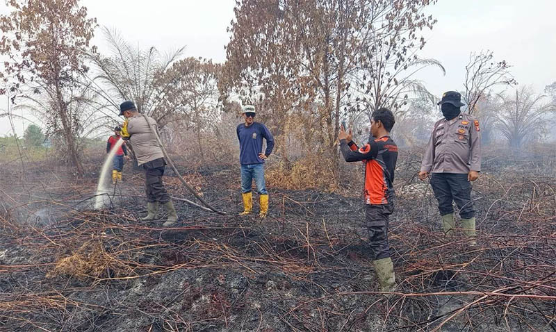 Tim gabungan berjibaku memadamkan api kebakaran hutan dan lahan di Kecamatan Pinggir, Rabu (23/7/2025).