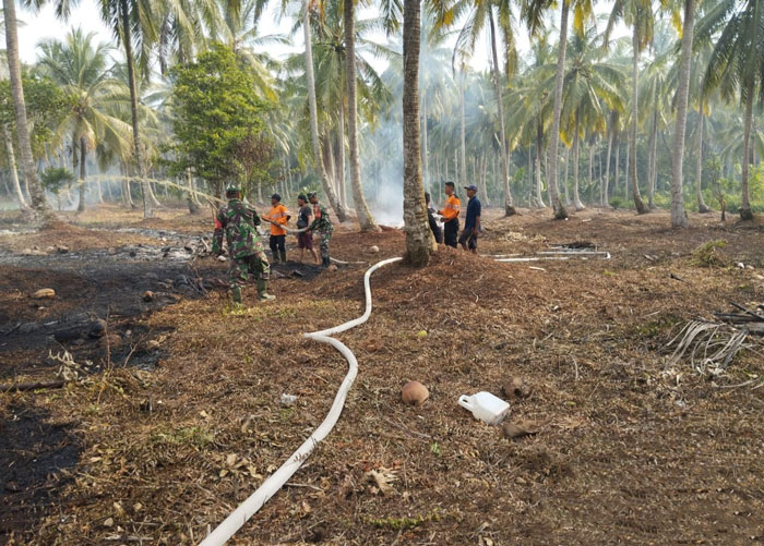 Tim gabungan berhasil memadamkan kebakaran yang terjadi di lahan masyarakat di Parit Atas, Dusun Mekar Jaya, Kecamatan Pulau Burung, Kabupaten Inhil, Selasa, (22/7/2025).
