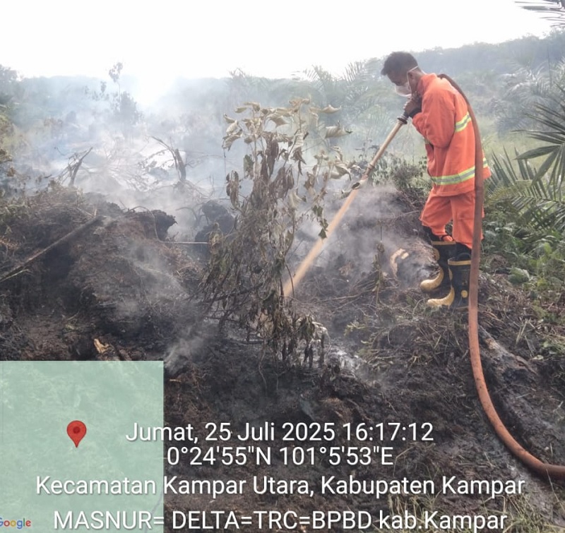 Satgas gabungan memadamkan api yang membakar lahan di Desa Sungai Jalau, Kecamatan Kampar Utara, Kebupaten Kampar, Jumat (25/7/2025).