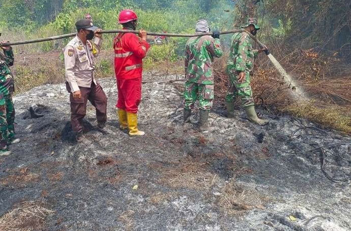 Petugas Babinsa dan Tim Gabungan masih berjibaku memadamkan api Karhutla di Kecamatan Pinggir.