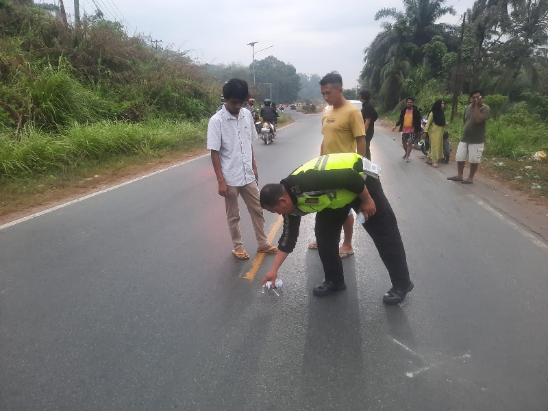 Personel Satlantas Polres Kampar melakukan olah tempat kejadian perkara lakalantas di Jalan Raya Pekanbaru&ndash;Bangkinang Km 54, Desa Tanjung Rambutan, Kecamatan Kampar, Kabupaten Kampar.