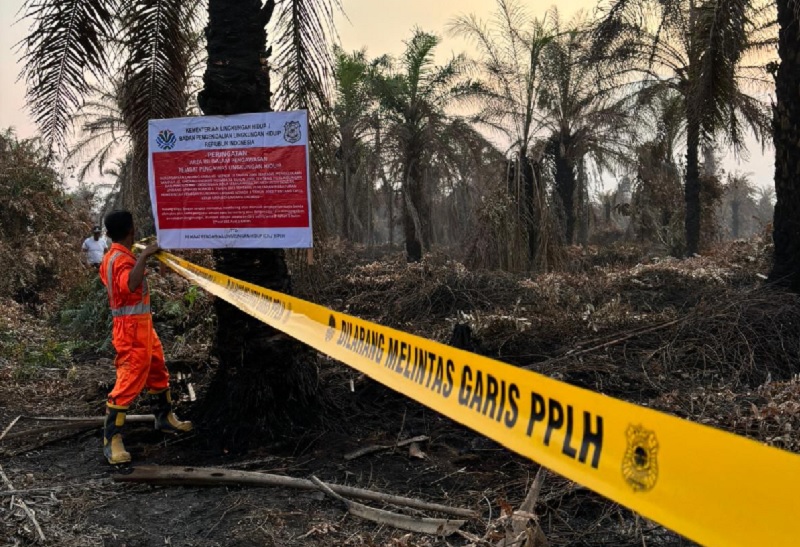 Penyegelan perkebunan kelapa sawit terkait karhutla di Riau.