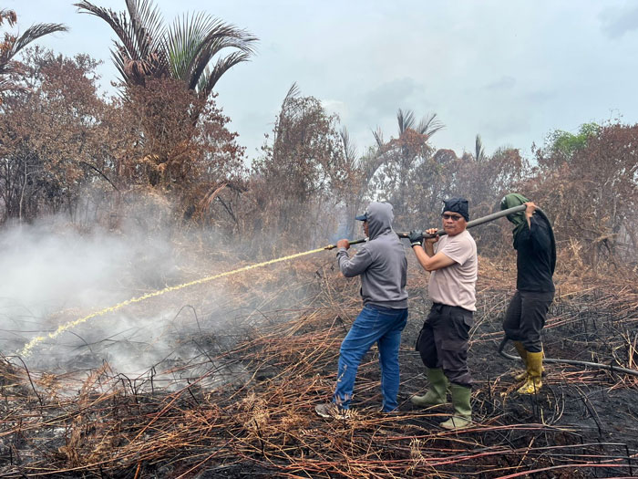Tim Gabungan melakukan pemadaman Karhutla di Desa Tanjung Kedabu, Kepulauan Meranti, Ahad (27/7/2025).