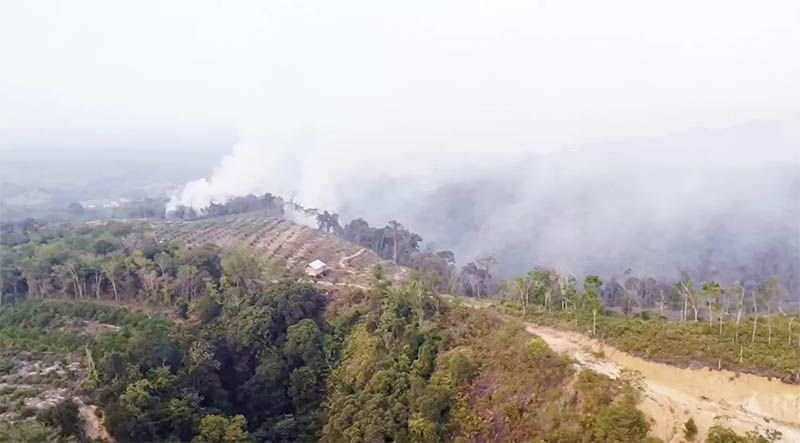 Ilustrasi kebakaran hutan dan lahan yang membuat asap beterbangan dibawa angin.