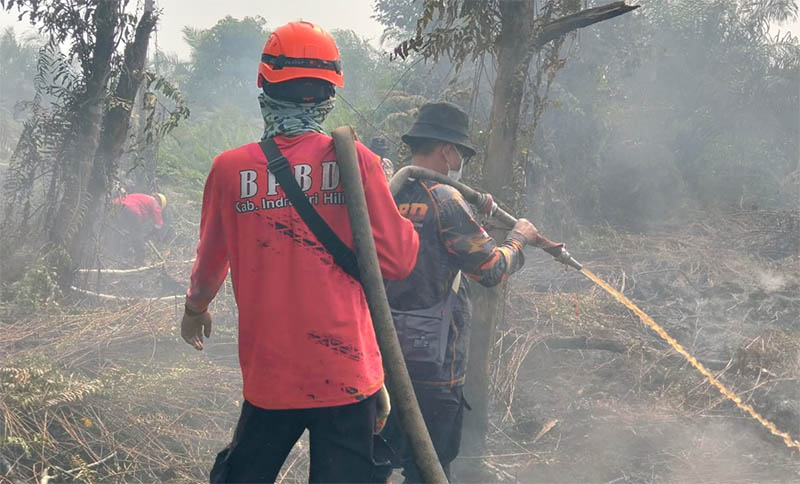 10 Hektare Lahan Terbakar di Desa Bayas Jaya, Petugas Gabungan ...