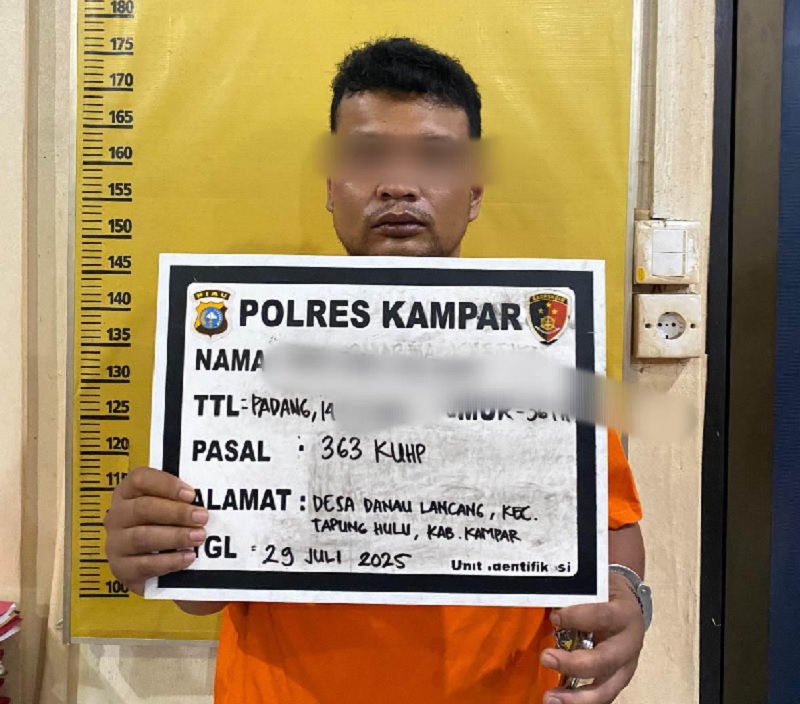 Tim Gasak Satreskrim Polres Kampar berhasil menangkap RO (37), pelaku spesialis pencurian mobil pikap lintas kabupaten, Selasa (29/7/2025).