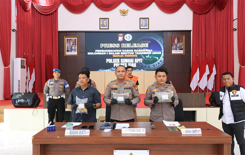 Kapolres Siak AKBP Eka Ariandy Putra SH SIK MSi bersama Kapolsek Sungai Apit, Iptu Budiman S Dalimunthe SH MH memperlihatkan barang bukti ganja dalam konferensi pers di Polres Siak, Kamis (31/7/2025)