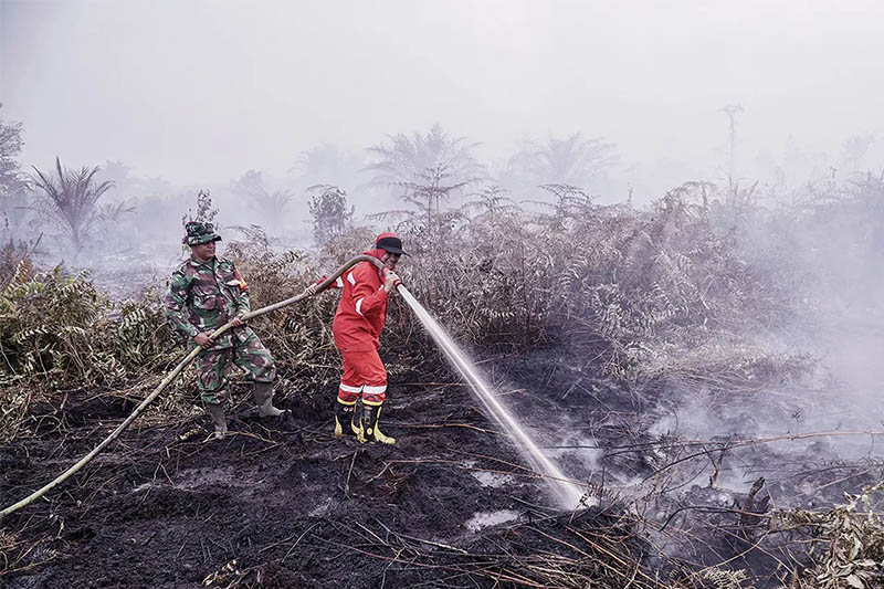 Petugas gabungan menyemprotkan air ke lahan yang terbakar di salah satu titik di Provinsi Riau, baru-baru ini.