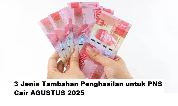Pemerintah akan berikan 3 jenis tambahan penghasilan untuk PNS di luar gaji pokok, diberikan mulai 1 Agustus 2025.