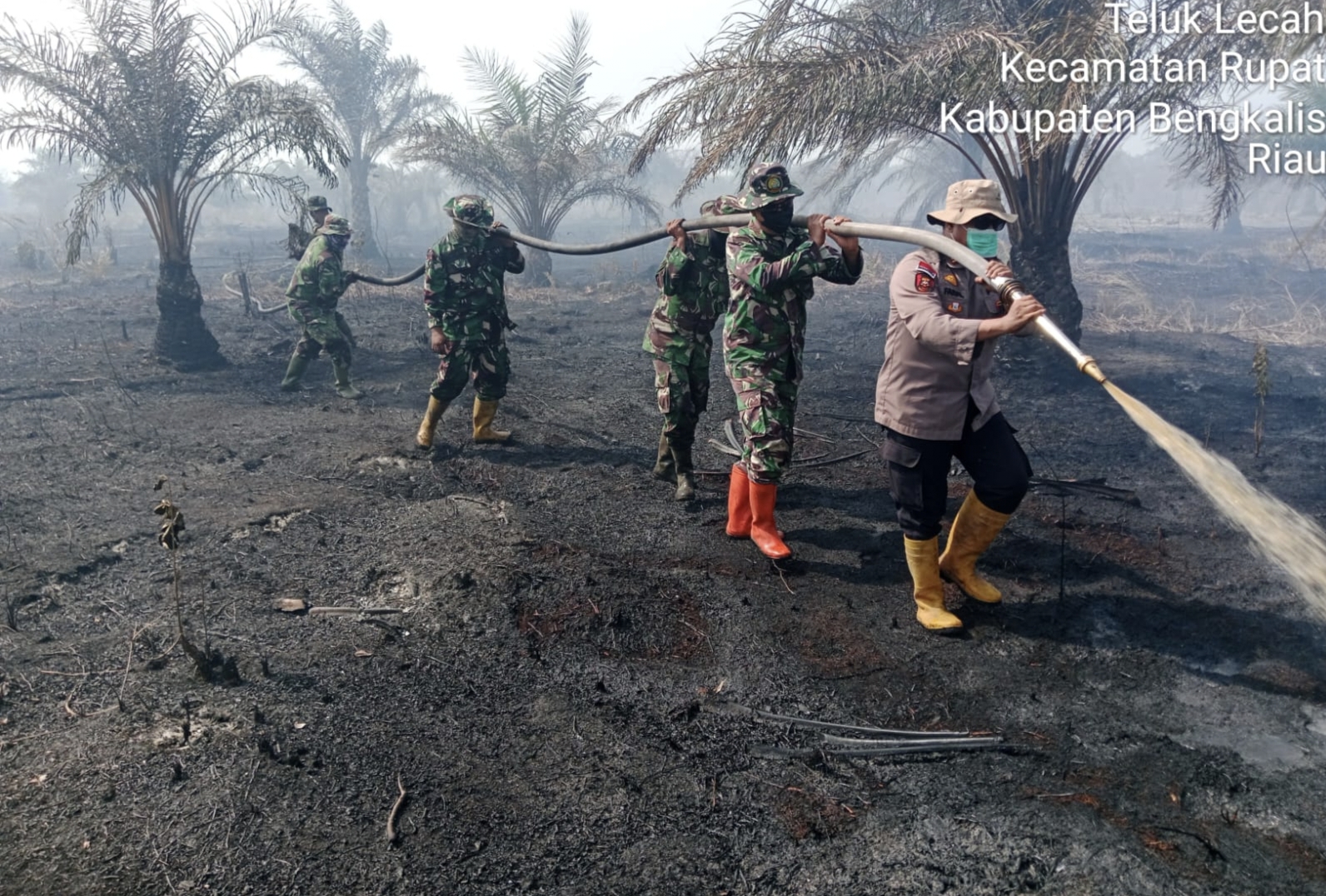 Tim gabungan melakukan pendinginan di lahan Jalan Sekda, Desa Pergam,  Kecamatan Rupat, Bengkalis, Selasa (5/8/2025).