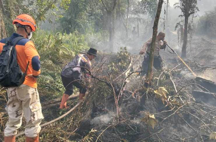 Personel BPBD inhil memadamkan api yang membakar lahan di desa Bayas Jaya, Kecamatan Kempas, Kabupaten indragiri hilir, Kamis (31/7/2025) lalu.